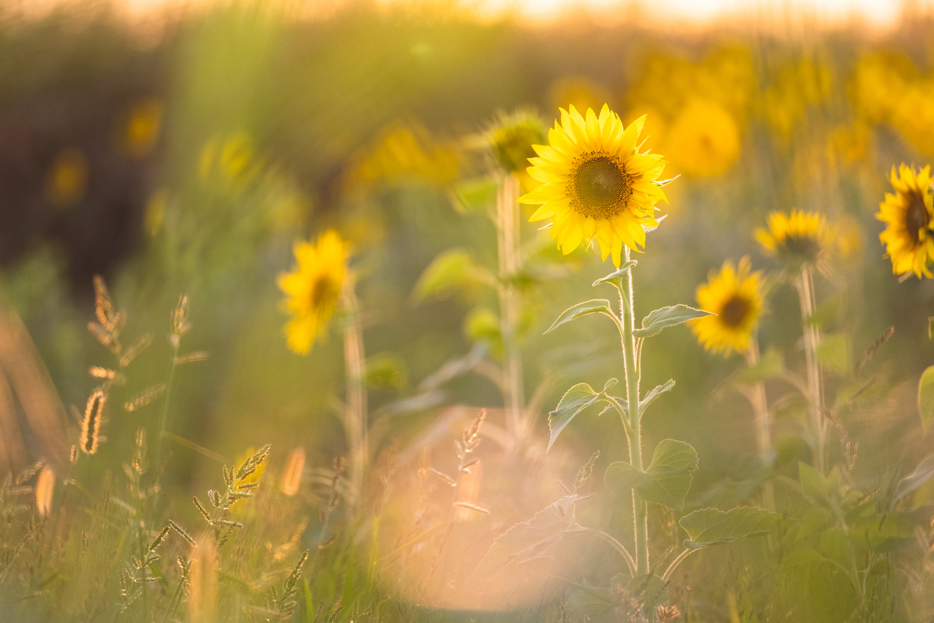 How to Embrace Main Character Energy and Live Life for You